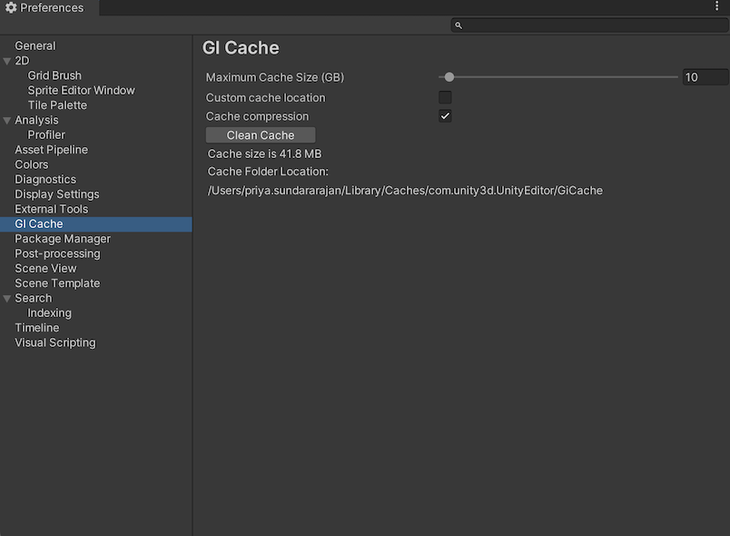 GI Cache scope on the Preferences window