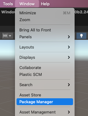 Access the Package Manager window from the Window menu