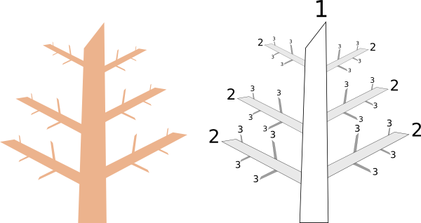 A diagram showing tree levels: the first level is the trunk. It has six primary branches. Each of those branches has four secondary branches.