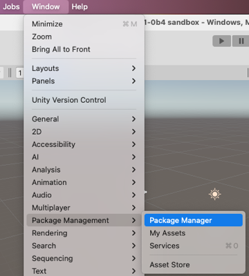 Access the Package Manager window from the Window menu