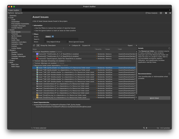 Project Auditor window with the Assets Issues view open