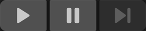 The Play Mode Control panel