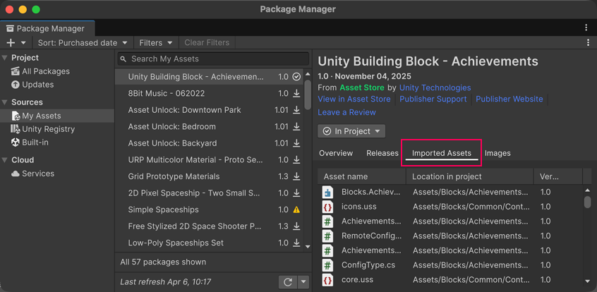 The Imported Assets tab in the Details panel