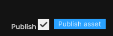 Screenshot of the publish button