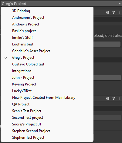 Screenshot of the project dropdown selection