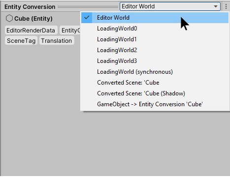 The World dropdown menu in the Entity Conversion Preview Window