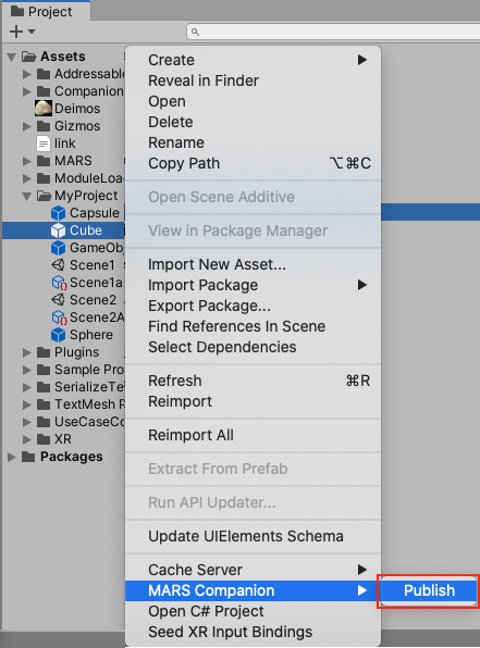 The Companion Resource Publish Menu