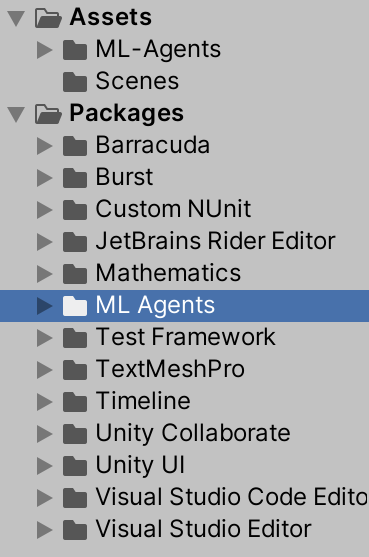 Unity Project Window