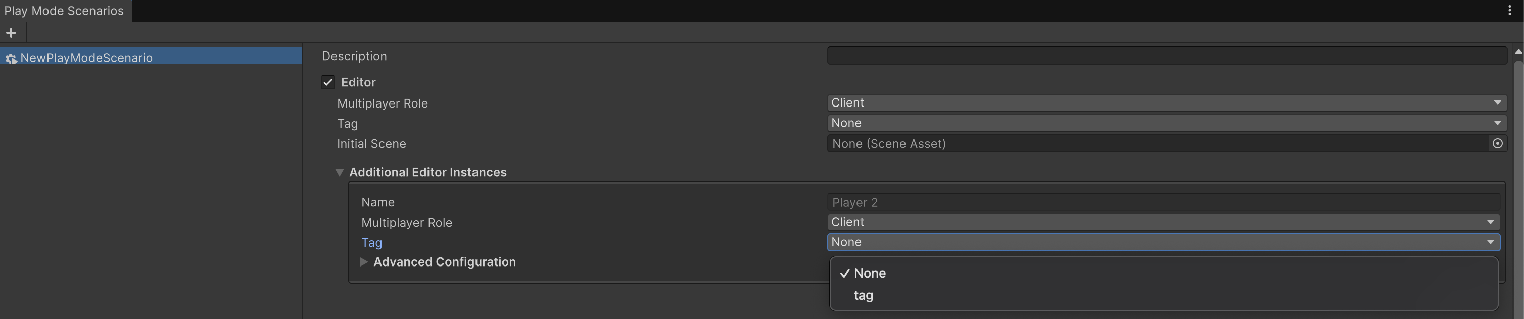 Scenario Player Tag Example
