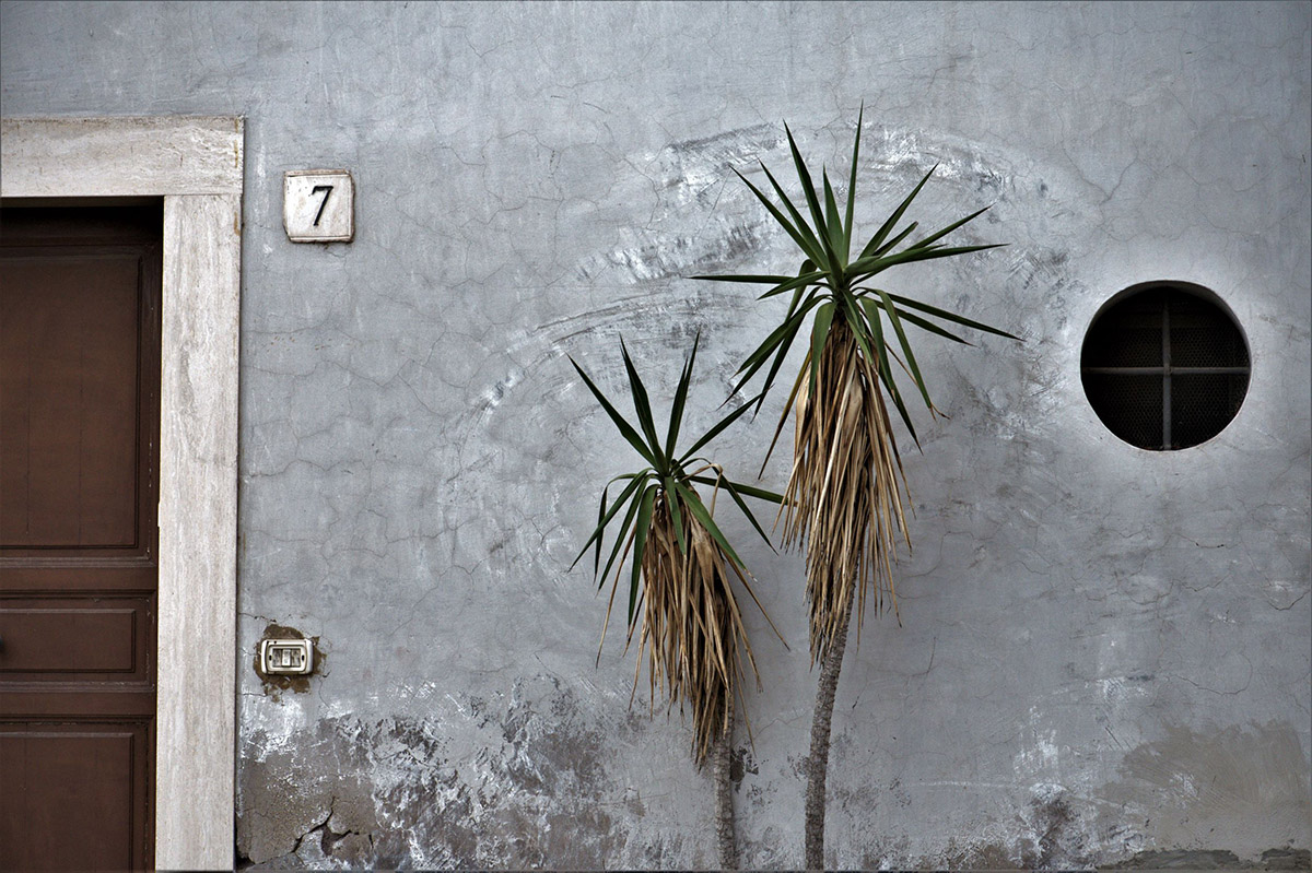 Seven 1200 pixels wide