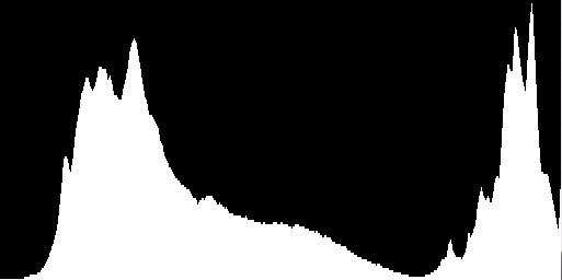 The Debugging Histogram