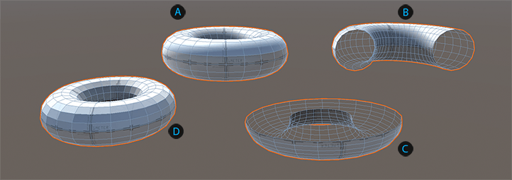 Torus shapes