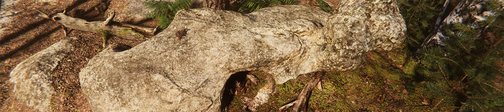 A close-up of a rocky, grassy landscape.
