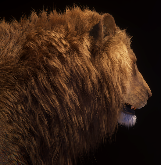 The same lion, where the main looks softer and smoother.