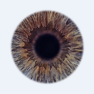 An eye shader iris map.