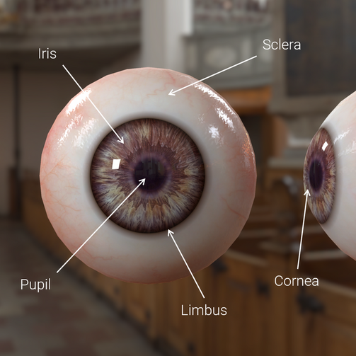 Eye Shader | High Definition RP 