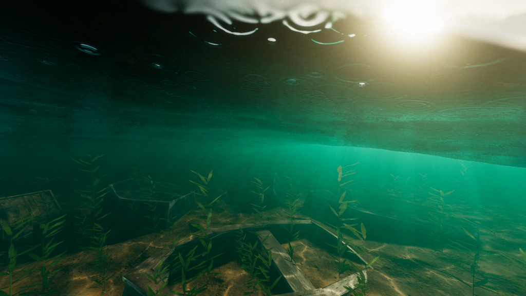 An underwater view with light shafts shining through from above.