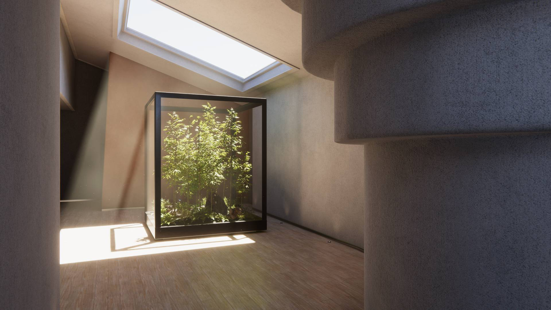 A contemporary room brightly lit by a skylight, with a display of vegetation in a glass box.