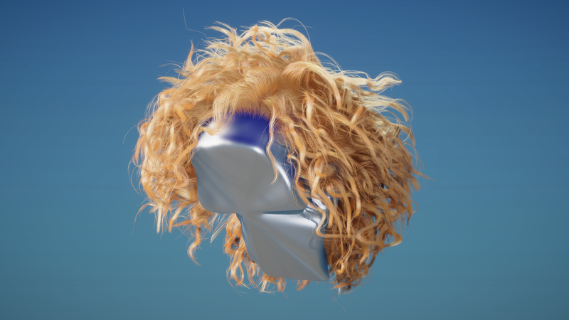 A head of curly hair.