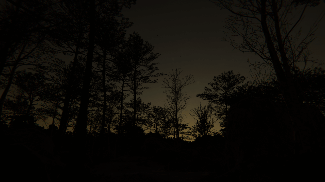 The same forest at night, with the trees in silhouette and the sky a gradient of dark yellow and orange.