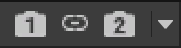 Viewport camera icon