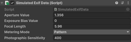 Simulated EXIF data component