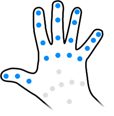 The joints used to measure full curl