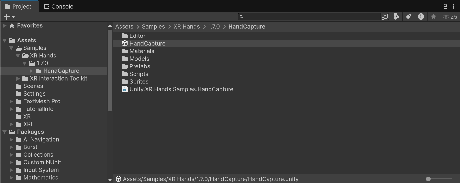 Hand Capture sample scene location