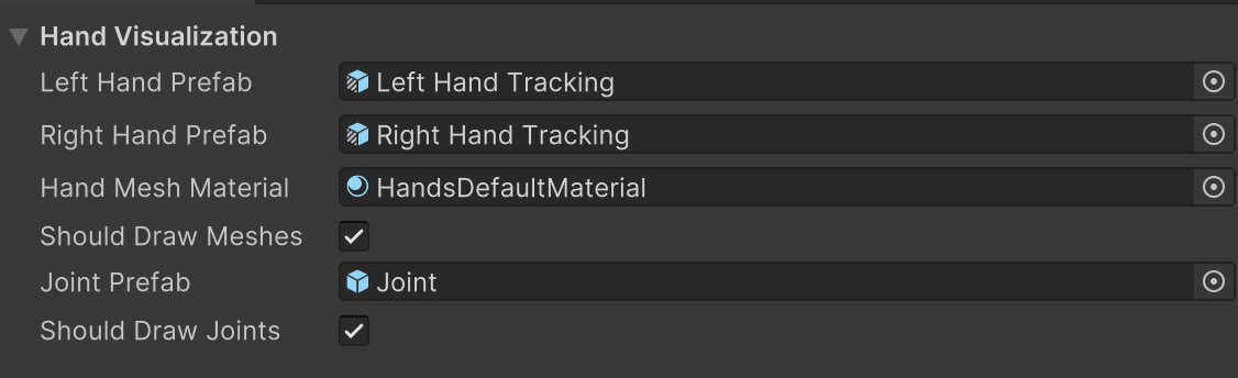 XR Hand Capture window - Hand Visualization Settings section