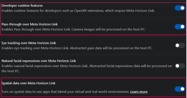 Meta Horizon Link settings window open with Developer runtime features, Passthrough, and sptatial data enabled.