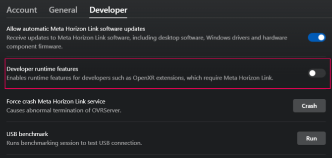 Meta Horizon Link settings window open with Developer runtime features option disabled.