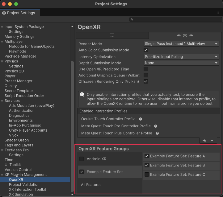 Feature group in OpenXR settings