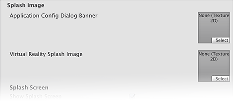 独立平台的 Splash Image Player 设置