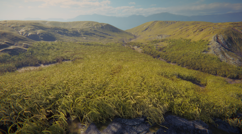 Terrain with grass