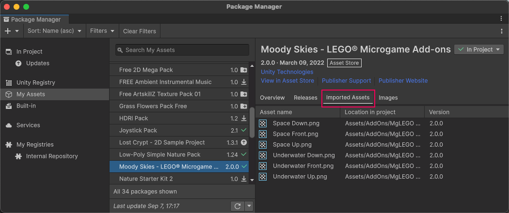 The Imported Assets tab in the Details panel