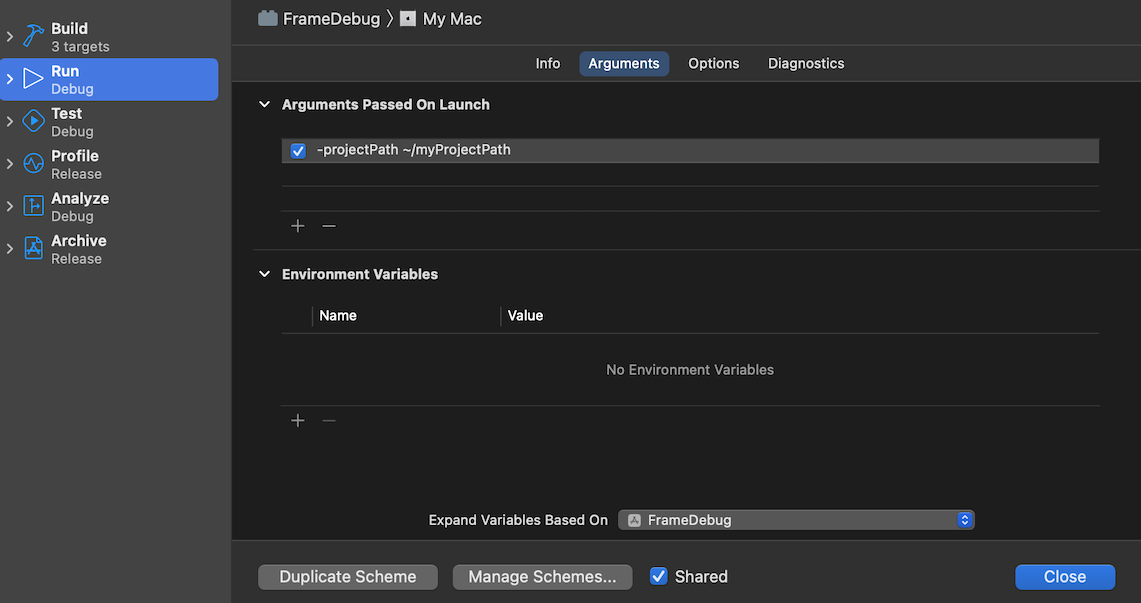 显示项目路径的 FrameDebug 窗口