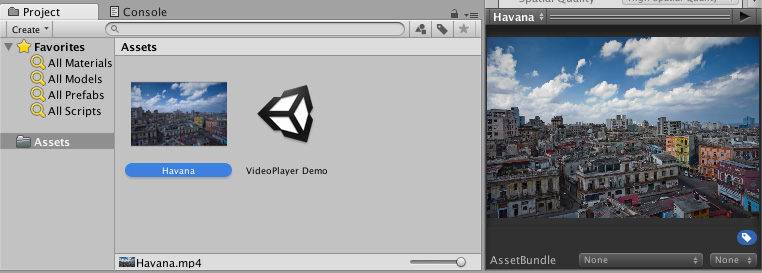 ビデオファイルを Project ウィンドウにドラッグアンドドロップして作成したビデオクリップ