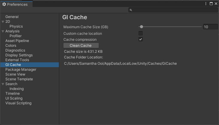 Preferences ウィンドウの GI Cache カテゴリ