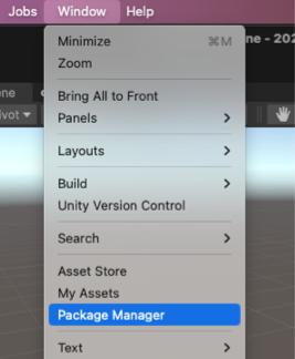 Window 메뉴에서 Package Manager 창에 액세스