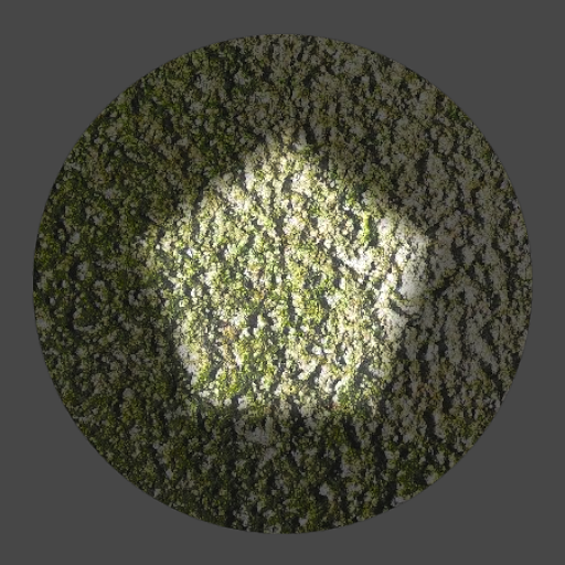 결과 광원 효과