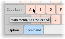 Ctrl/Cmd + A 키 조합은 Edit > Select All 커맨드에 할당됨