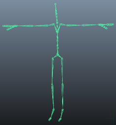 Biped Skeleton, positioned in T-pose