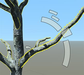 The branches of a tree are highlighted in the Art Director gizmo. The gizmo appears over one branch with a dotted outline, but edits will affect all the highlighted branches.