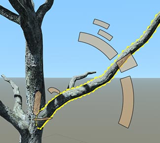 The Art Director gizmo appears translucent orange over the highlighted branch, indicating that node offset values are being edited.