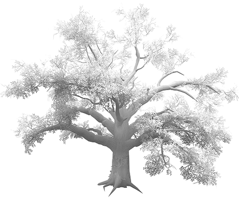 A tree with light and dark shadows along its trunk, leaves, and branches illustrates the realistic effect of ambient occlusion