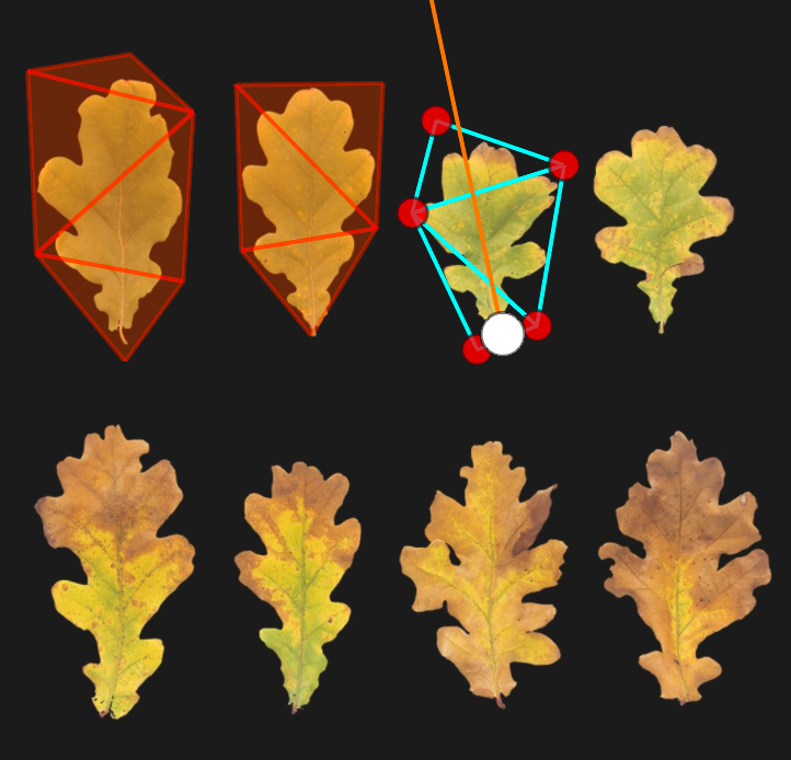 A texture atlas open in the Cutout Editor with **Show all meshes** enabled. Two leaf meshes are cut out. A pivot point and vertices are present on a third leaf to create a mesh cut out.