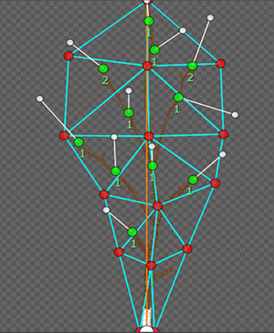 The vertices of a mesh are displayed in the Cutout Editor. Mesh anchor points are dotted throughout the mesh, each with a number and a line indicating its direction of growth.