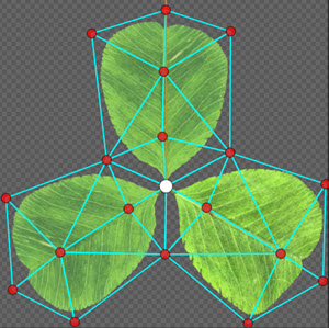 Three leaves in the Cutout Editor with a pivot point in the middle and vertices throughout.