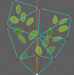 A tree branch in the Cutout Editor with triangulated points at the vertices.