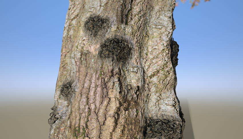 A decal generator used to create dark details on a tree trunk.